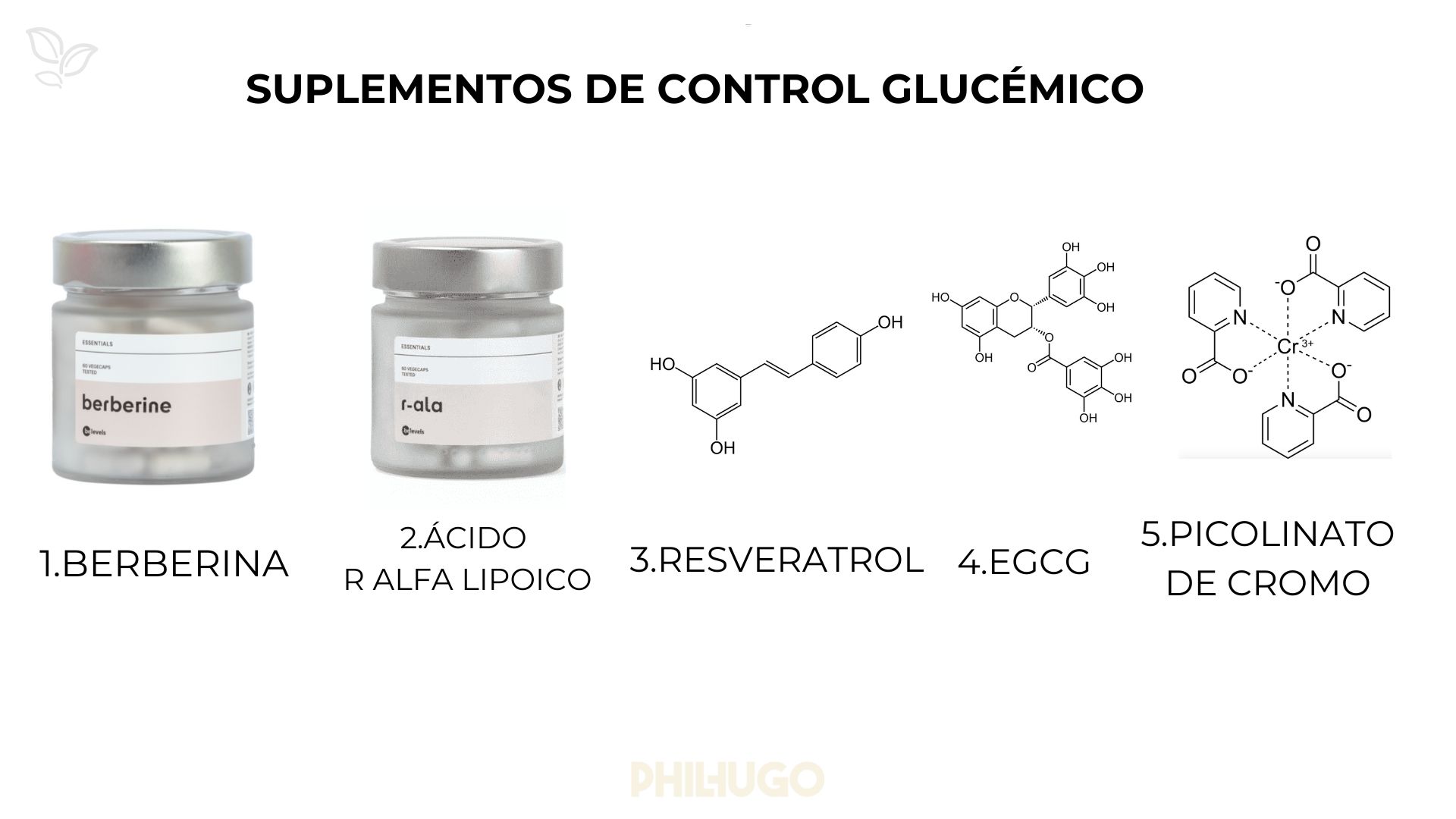 masterclass_comidas_libres_preview_6